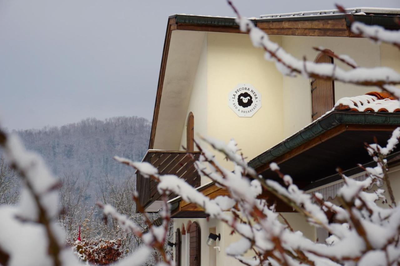 La Pecora Nera Bed&Breakfast Belluno Esterno foto
