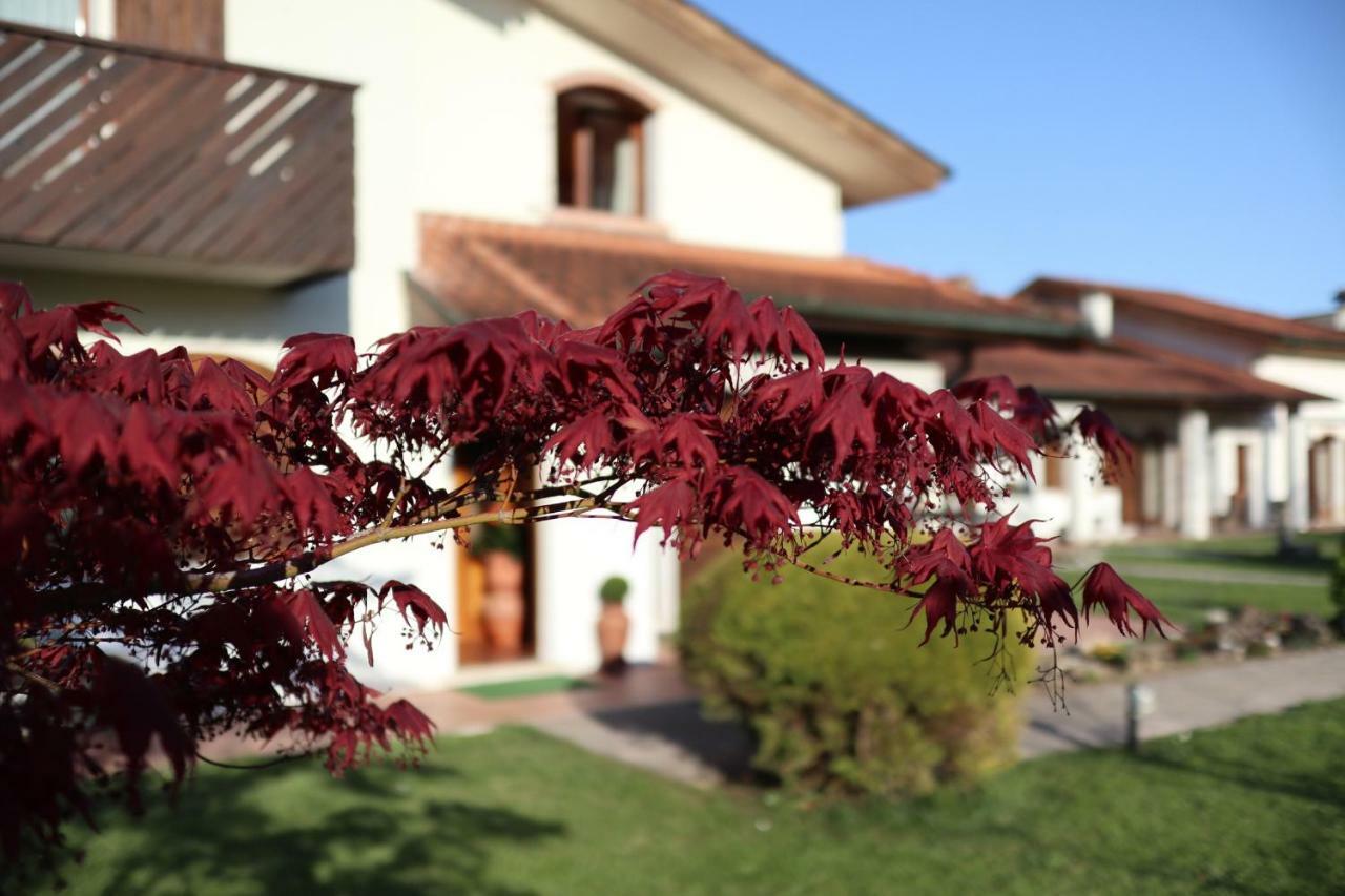 La Pecora Nera Bed&Breakfast Belluno Esterno foto