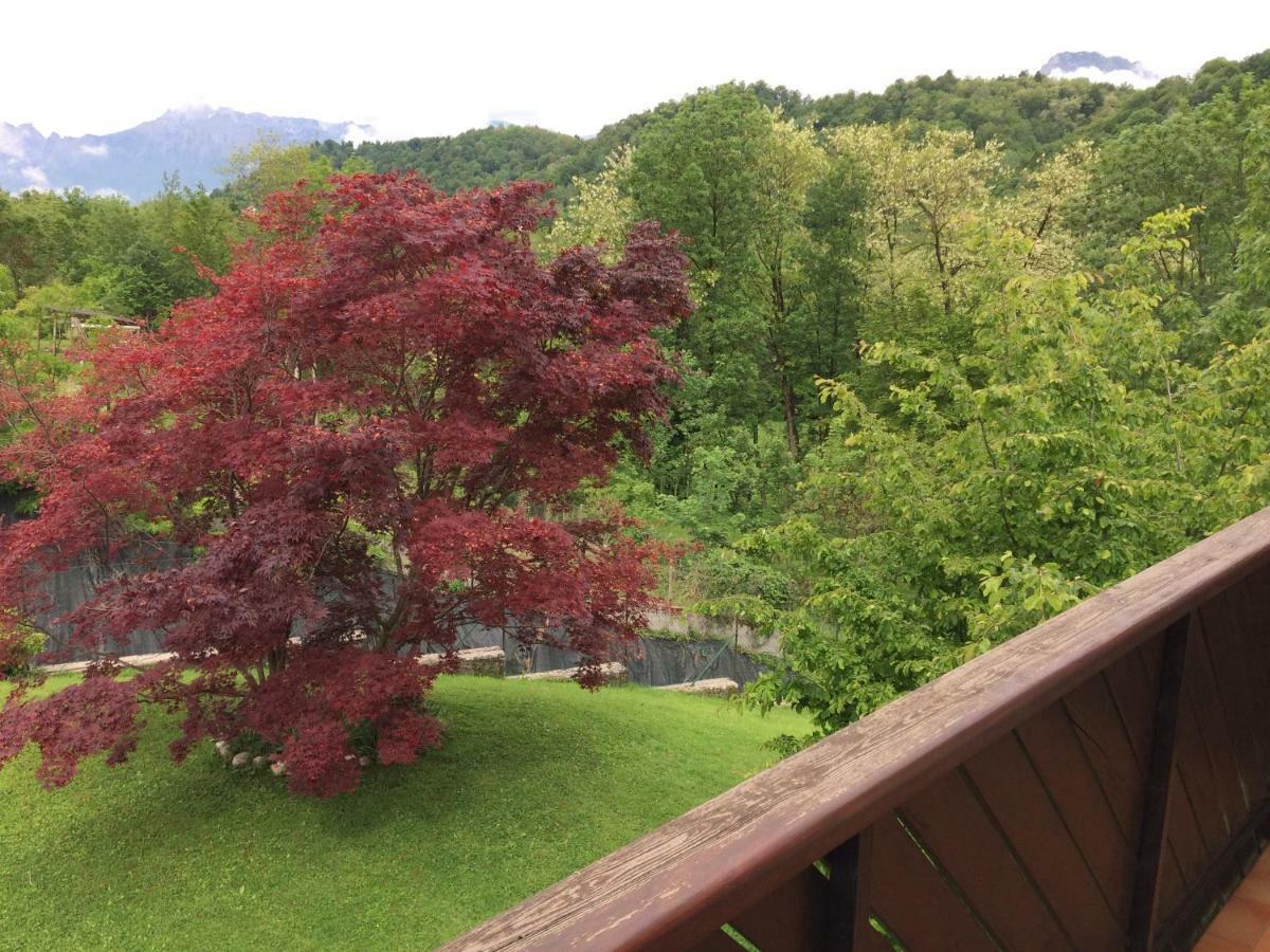 La Pecora Nera Bed&Breakfast Belluno Esterno foto